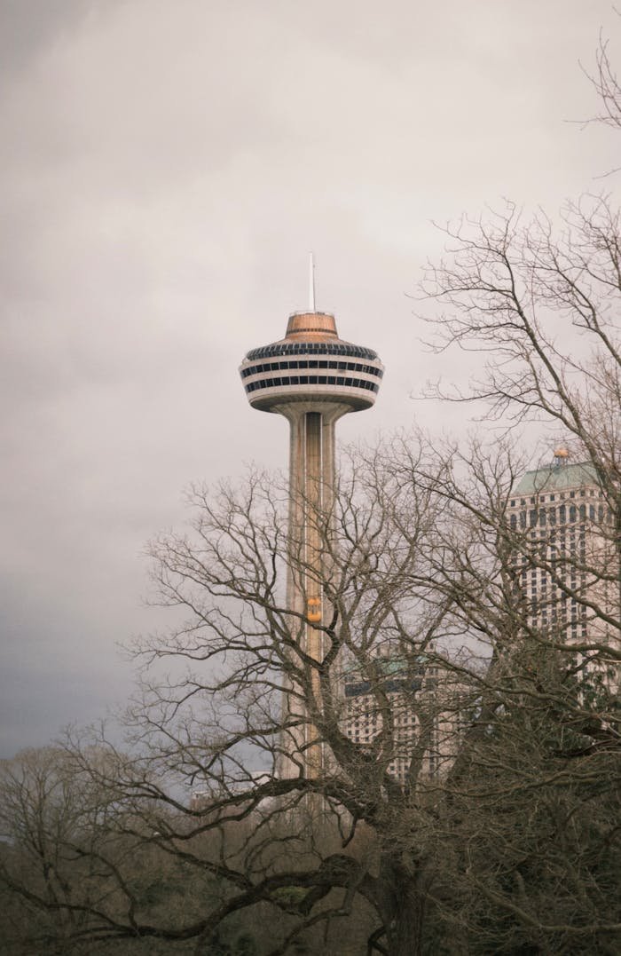 Majestic view of Skylon Tower amidst autumn trees in Niagara Falls, Ontario.